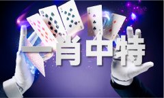 2024澳门2024免费材料网